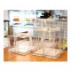 Cutie Toruti cu capac transparent  si baza din carton plastifiat solid si rezistent, 33x33 cm, 414COF