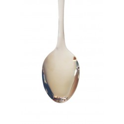 Lingura din inox, 27 cm, 459COF