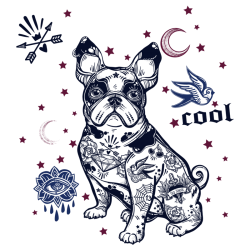 Sticker decorativ, Cool Dog, Old school, 77 cm, 726STK