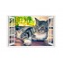 Sticker decorativ, Fereastra 3D, Pisica, 85 cm, 504STK
