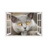 Sticker decorativ, Fereastra 3D, Pisica, 85 cm, 505STK