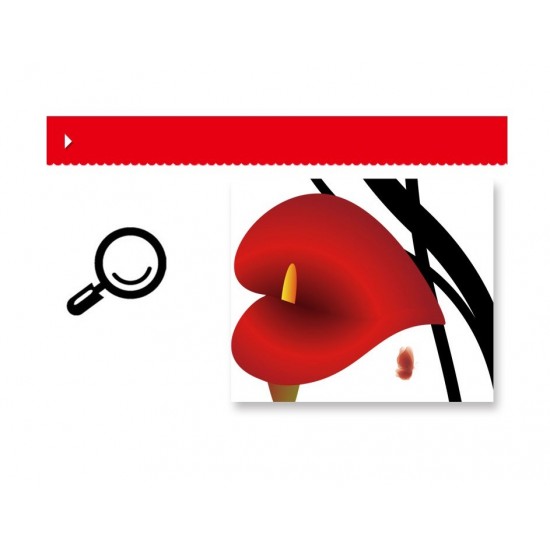 Sticker decorativ, Flori Anthurium rosii, 147 cm, 742STK