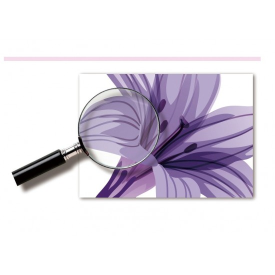 Sticker decorativ, Flori albastre, 160 cm, 744STK