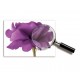 Sticker decorativ, Flori mov, 140 cm, 797STK
