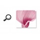 Sticker decorativ, Flori roz, 155 cm, 746STK Sticker decorativ, Flori roz, 155 cm, 746STK