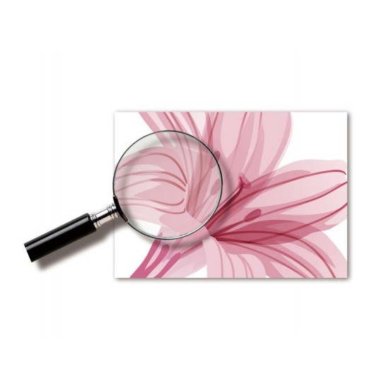 Sticker decorativ, Flori roz, 160 cm, 743STK