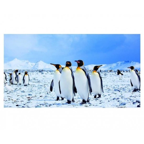 Sticker decorativ, Pinguini, 130 cm, 794STK