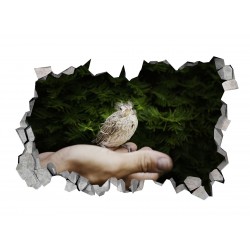 Sticker decorativ, gaura in perete 3D,  Bird, 85 cm, 184STK-1