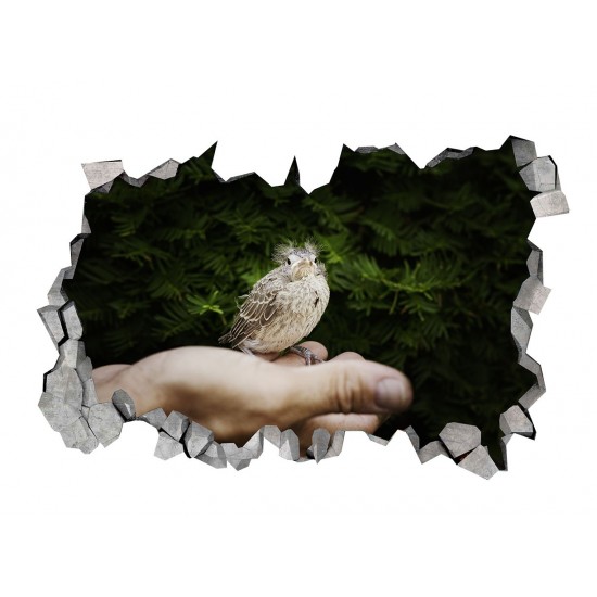Sticker decorativ, gaura in perete 3D,  Bird, 85 cm, 184STK-1