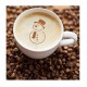 Set 50 de sabloane pentru decorarea parjiturilor, cafea, pentru pictura, Alb, 8.7 cm, A1427 Set 50 de sabloane pentru decorarea parjiturilor, cafea, pentru pictura, Alb, 8.7 cm, A1427