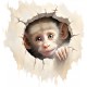 Sticker decorativ, Maimuta, Gri, 1375STK-5 Sticker decorativ, Maimuta, Gri, 1375STK-5
