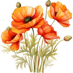 Sticker decorativ, Buchet de Flori Maci, Portocaliu, 61 cm, 1350STK-4
