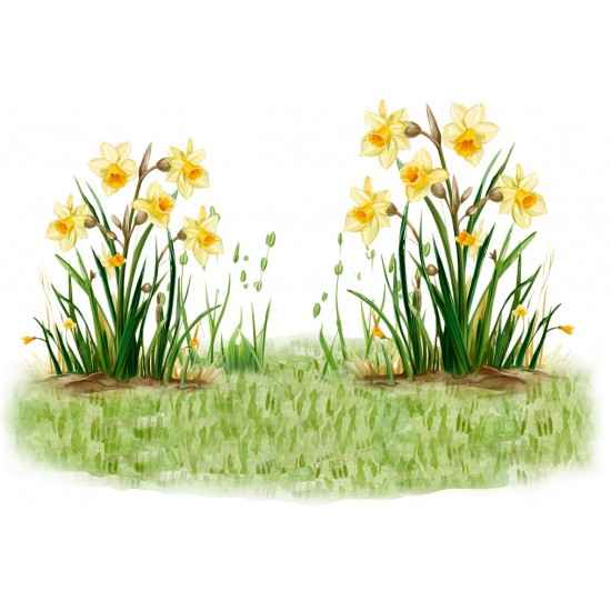 Sticker decorativ, Ghiocei, Galben, 88 cm, 1290STK-2