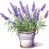 Sticker decorativ, Ghiveci cu Lavanda, Mov, 60 cm, 1339STK-4
