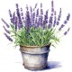 Sticker decorativ, Ghiveci cu Lavanda, Mov, 62 cm, 1339STK-3