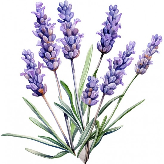 Sticker decorativ, Lavanda, Mov, 61 cm, 1339STK-8