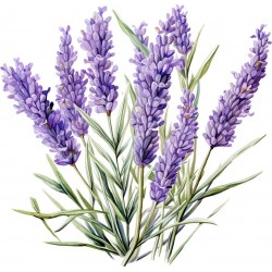 Sticker decorativ, Lavanda, Mov, 62 cm, 1339STK-5