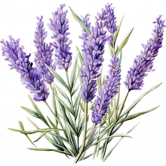Sticker decorativ, Lavanda, Mov, 62 cm, 1339STK-5