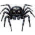 Sticker decorativ, Paianjen, Negru, 73 cm, 1343STK