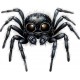 Sticker decorativ, Paianjen, Negru, 73 cm, 1343STK